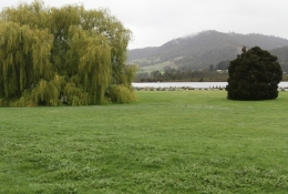 The park between the main road and the Huon River at Franklin.