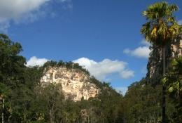 Carnarvon Gorge